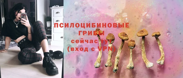винт Абинск
