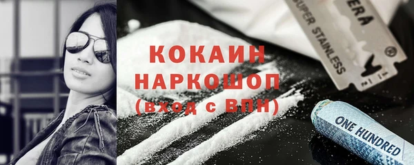 крисы Няндома
