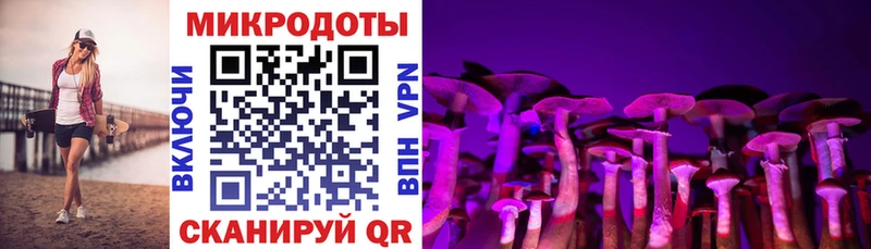 Галлюциногенные грибы мухоморы  Никольск 